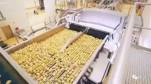 佳盛企智深加工共享工廠 創新農產品生產模式，助力蔬菜產業升級