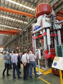 海源耐火材料液壓機(jī)順利通過中東兩大不同客戶廠內(nèi)驗(yàn)收